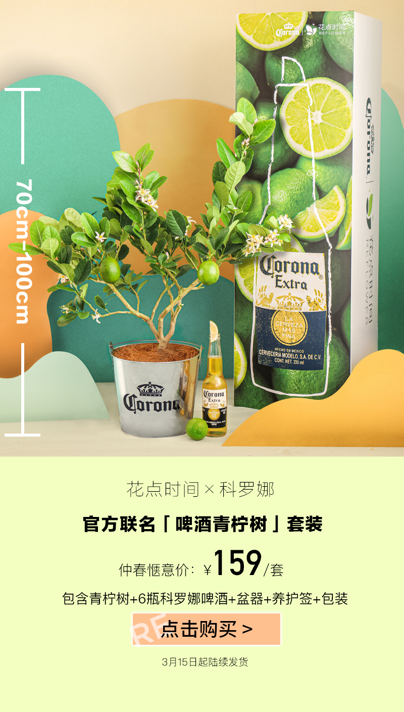 花点时间和科罗娜邀你在植树节种下青柠树-广告人干货库
