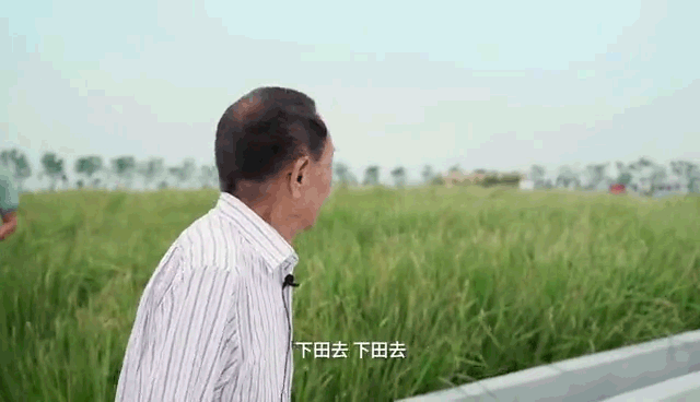 听说你没见过水稻，我们就把水稻种进了地铁站-广告人干货库
