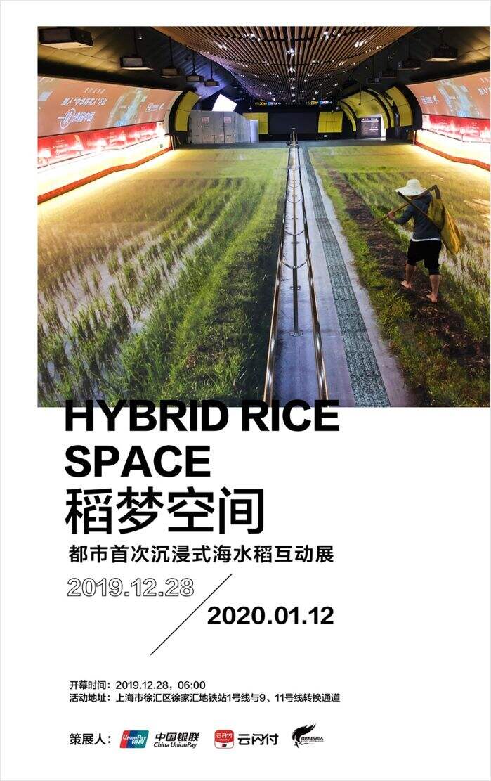 听说你没见过水稻，我们就把水稻种进了地铁站-广告人干货库
