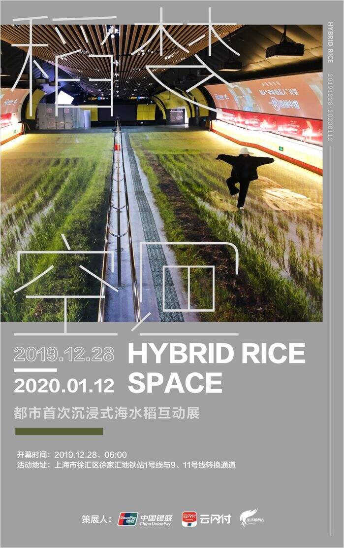 听说你没见过水稻，我们就把水稻种进了地铁站-广告人干货库