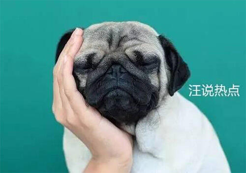 广告人干货库 一个追星人的自述:营销热点你还可以这样追-广告人干货库