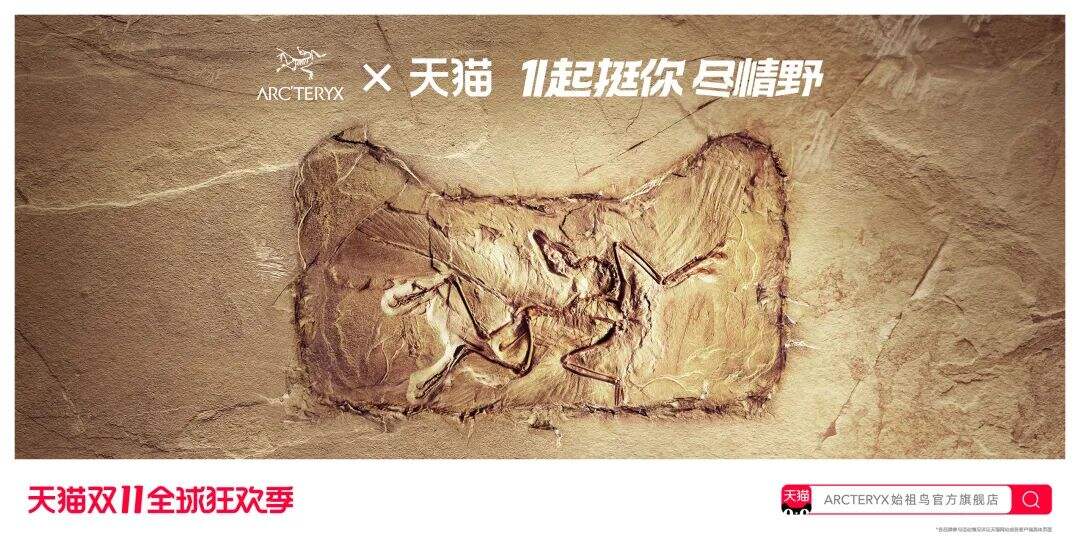 天猫双11策略提案：不止商业品牌-广告人干货库