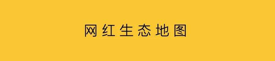 广告人干货库 网红,成为营销主战场-广告人干货库