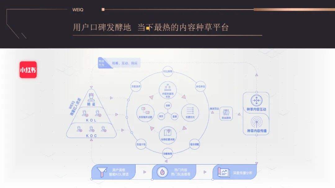 网红，成为营销主战场-广告人干货库