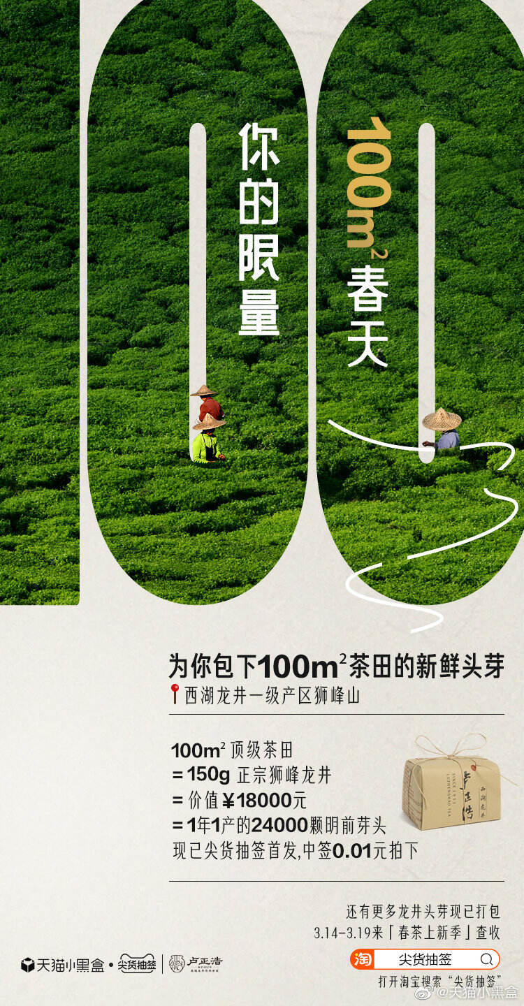 天猫小黑盒 × 卢正浩为你包下 100 平方米茶田-广告人干货库