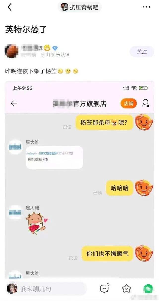 广告人干货库 杨笠代言被骂上天,甲方如何避免Intel式“出圈”?-广告人干货库