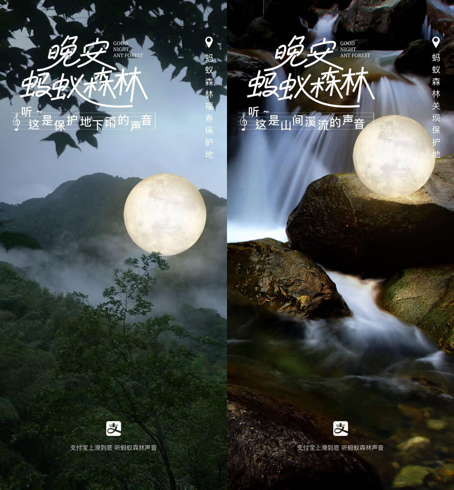 支付宝上线森林电台祝你好梦-广告人干货库