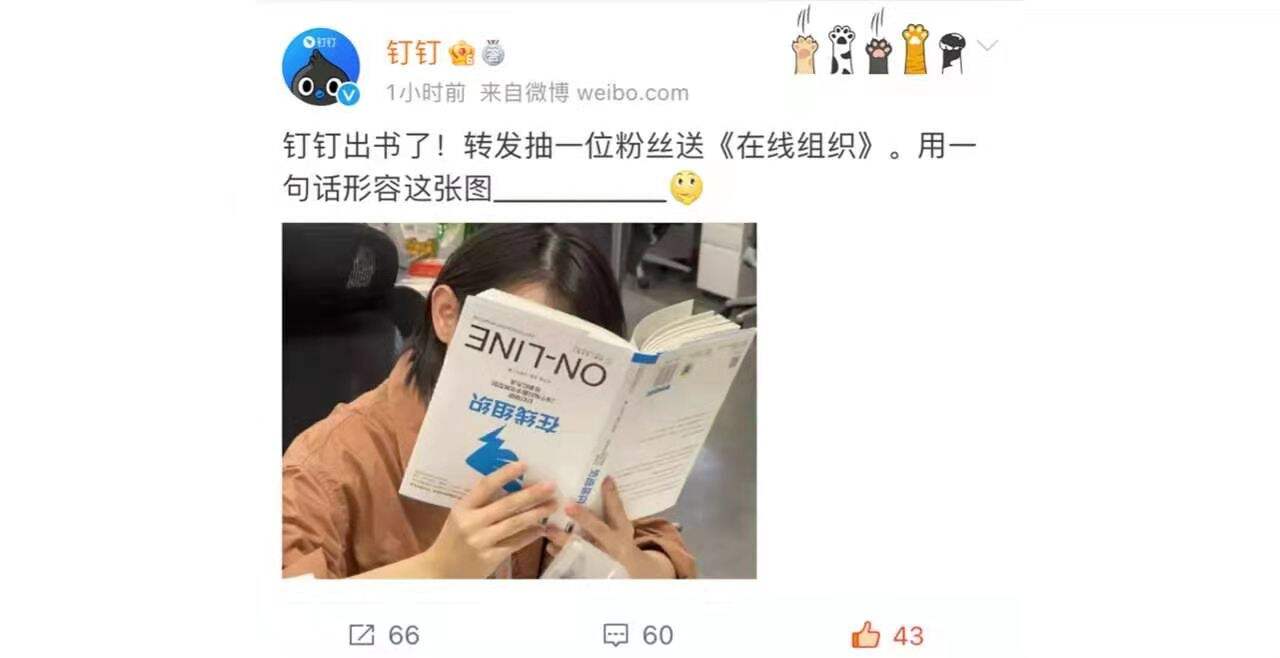 钉钉把 1700 万企业服务经验写成一本书-广告人干货库
