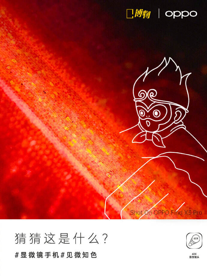 OPPO 新品向你出售 10 亿种色彩-广告人干货库
