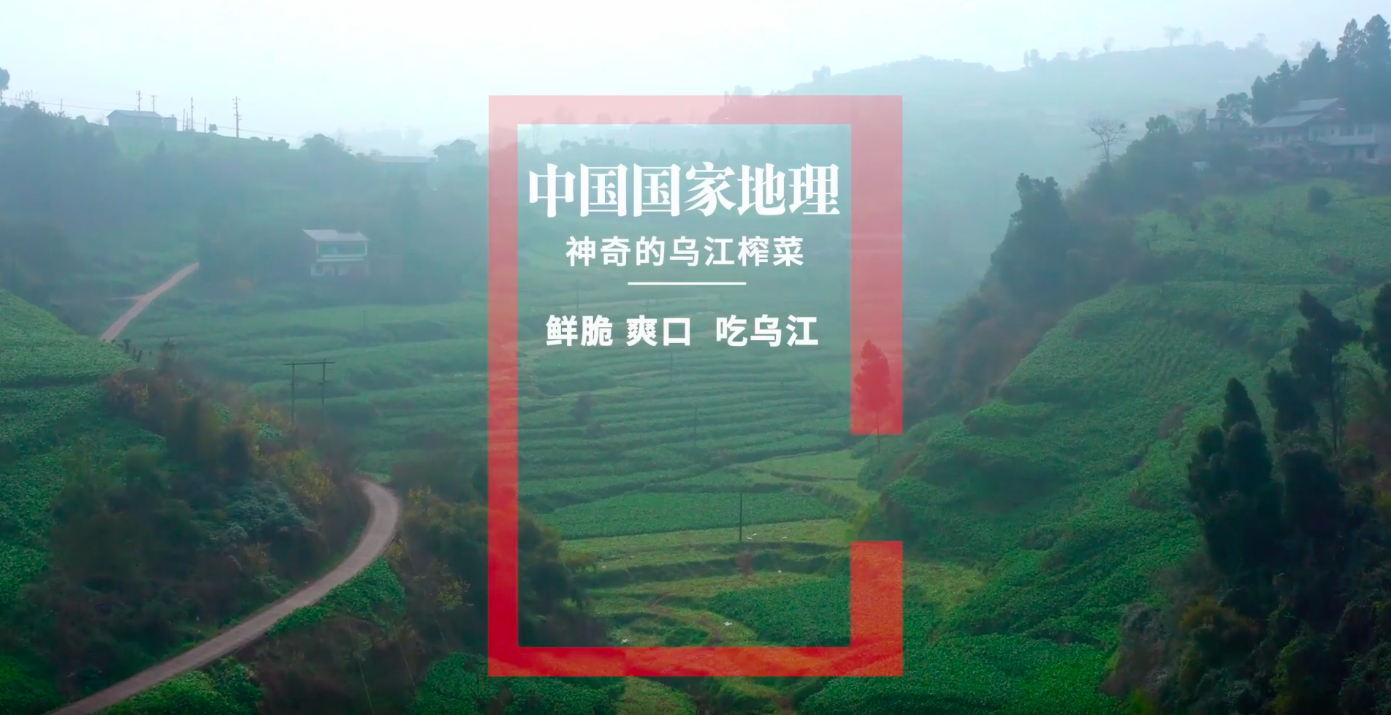 中国国家地理拍了一支榨菜纪录片-广告人干货库