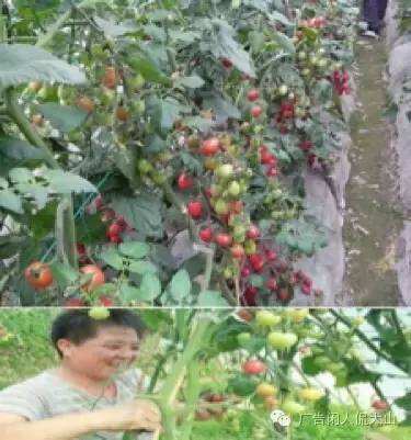 细致解析“五大需求层次理论”-广告人干货库