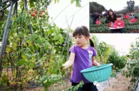 细致解析“五大需求层次理论”-广告人干货库