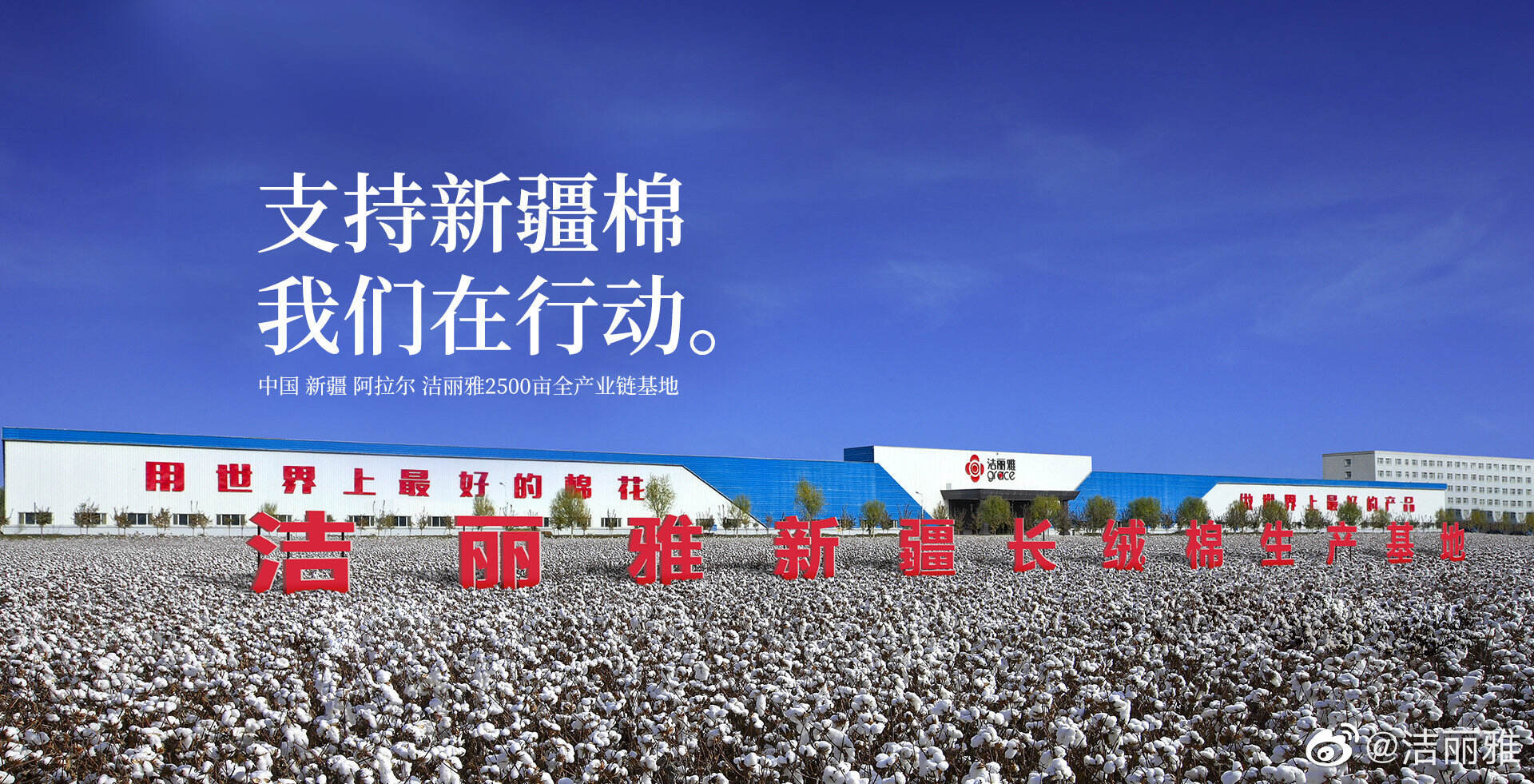 洁丽雅为新疆棉花代言-广告人干货库