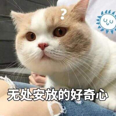 广告人干货库