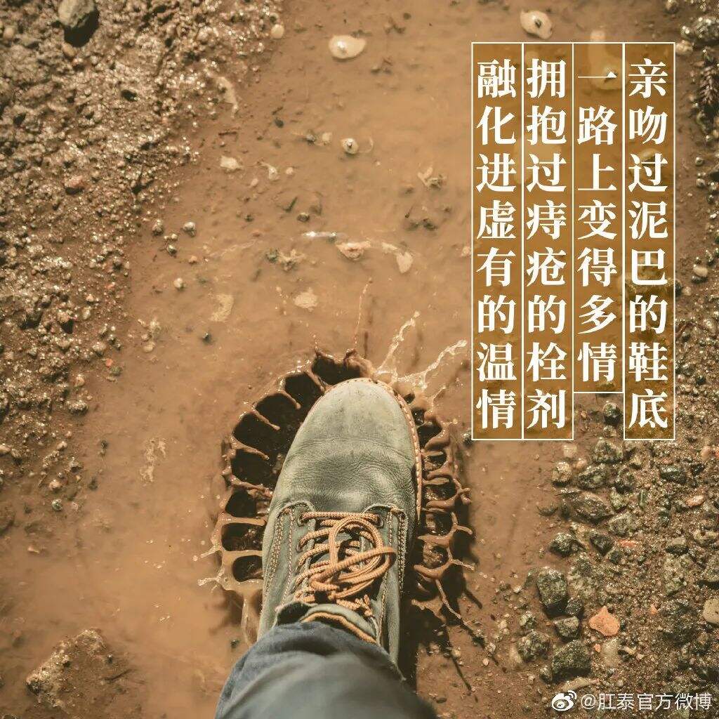 广告人干货库 肛泰最新文案,我真的服了!-广告人干货库