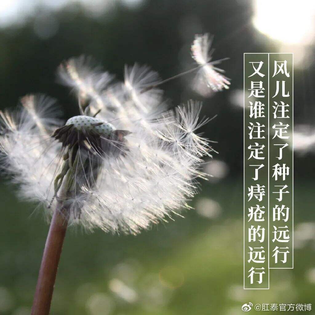 广告人干货库 肛泰最新文案,我真的服了!-广告人干货库