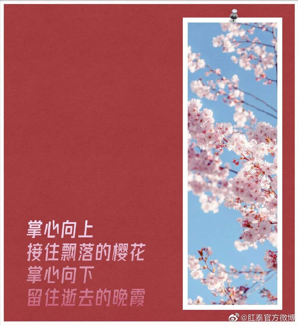 广告人干货库 肛泰最新文案,我真的服了!-广告人干货库