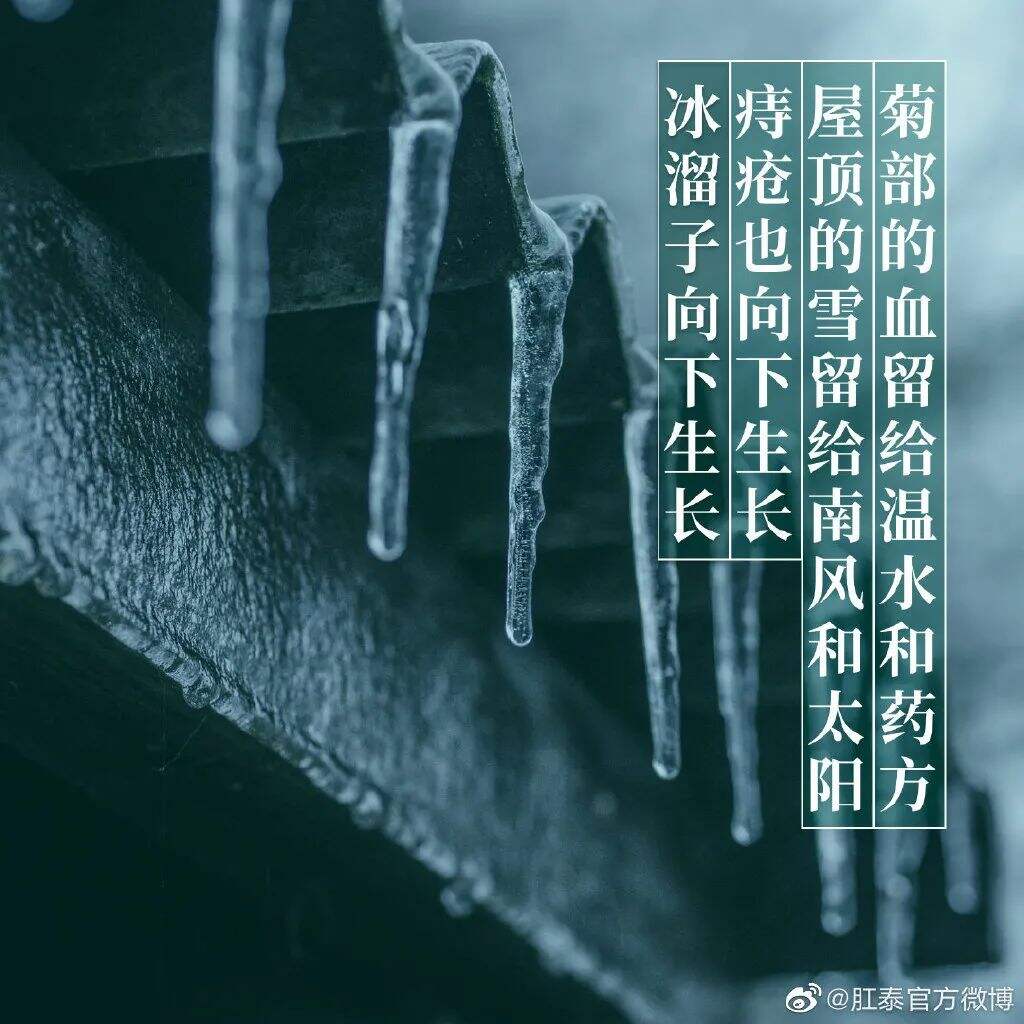 广告人干货库 肛泰最新文案,我真的服了!-广告人干货库