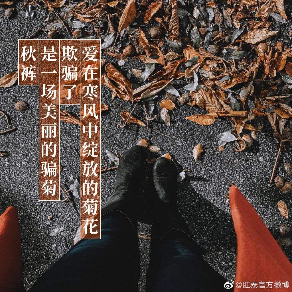 广告人干货库 肛泰最新文案,我真的服了!-广告人干货库