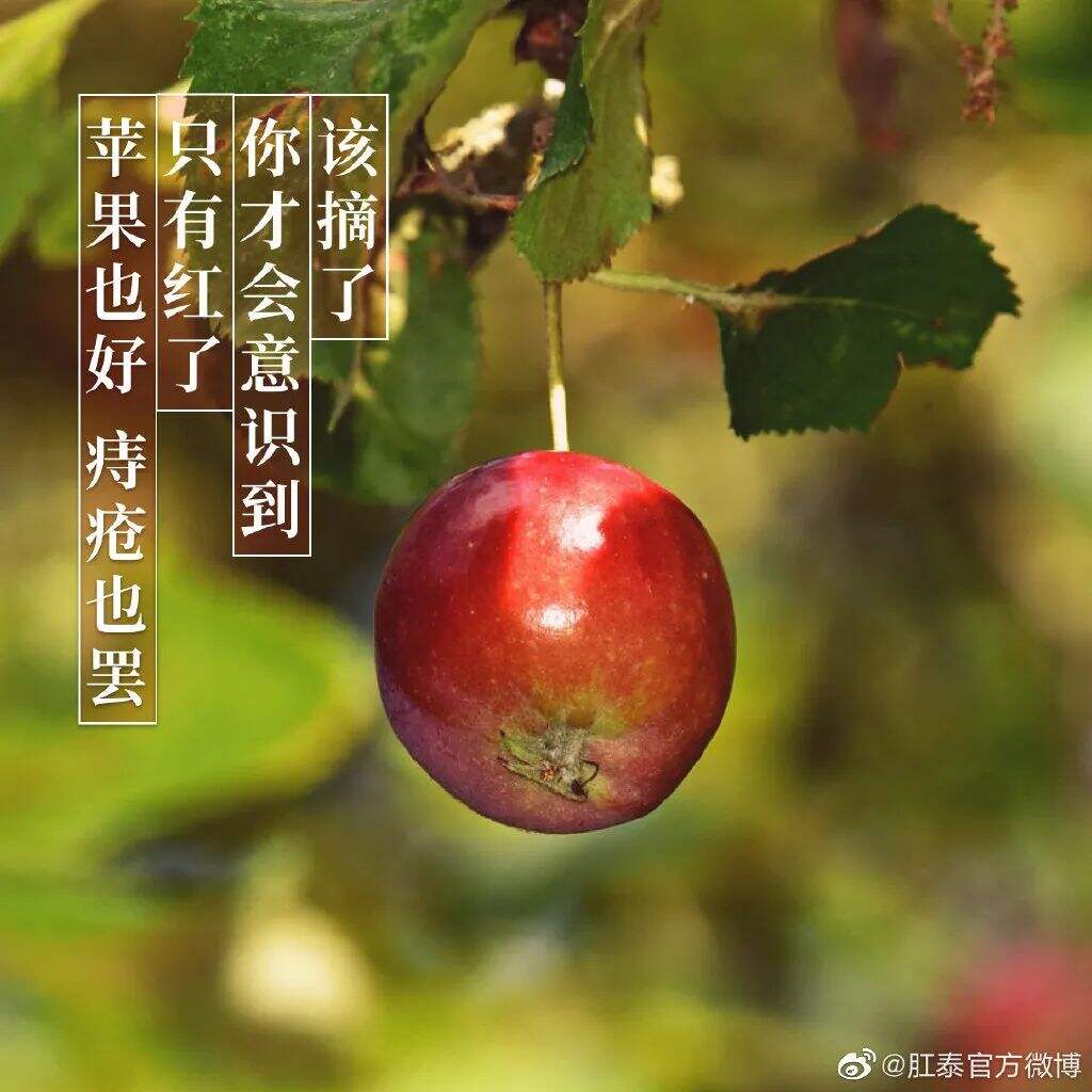 广告人干货库 肛泰最新文案,我真的服了!-广告人干货库