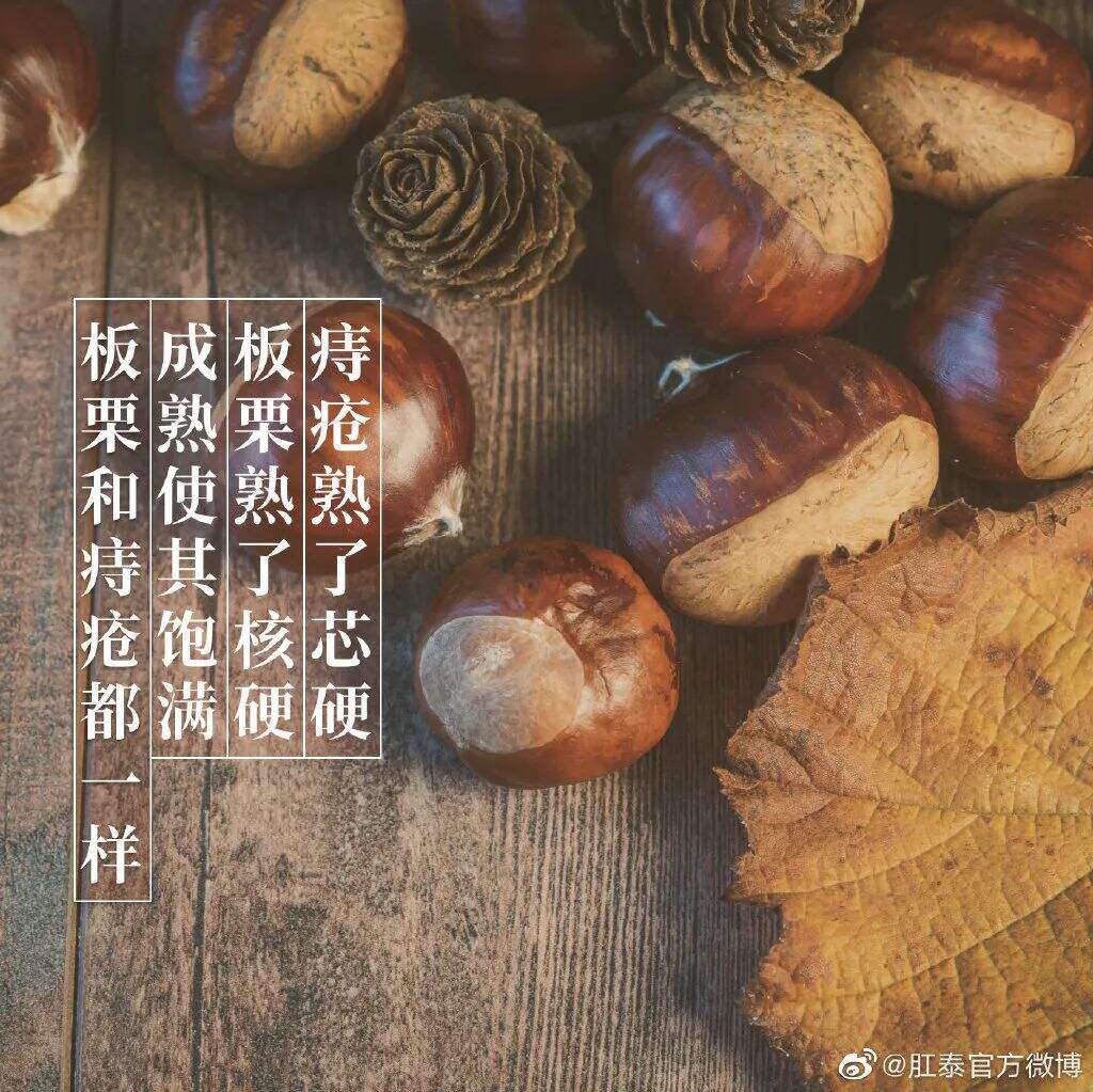 广告人干货库 肛泰最新文案,我真的服了!-广告人干货库