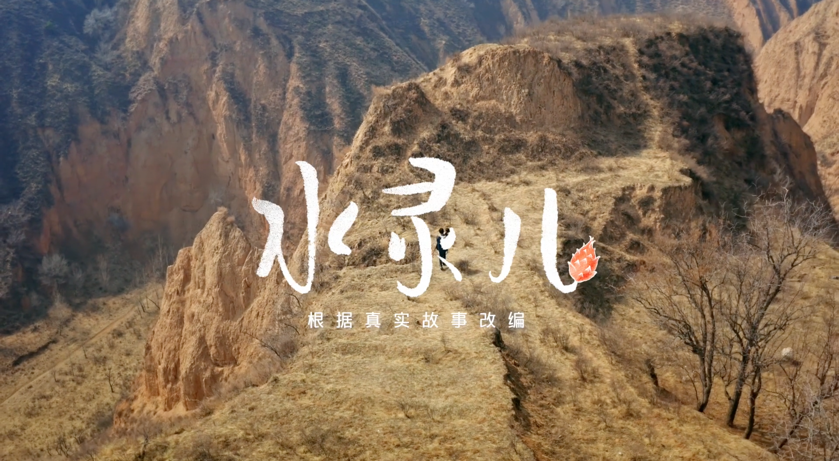 滴滴金融讲述在黄土高坡种火龙果的故事-广告人干货库