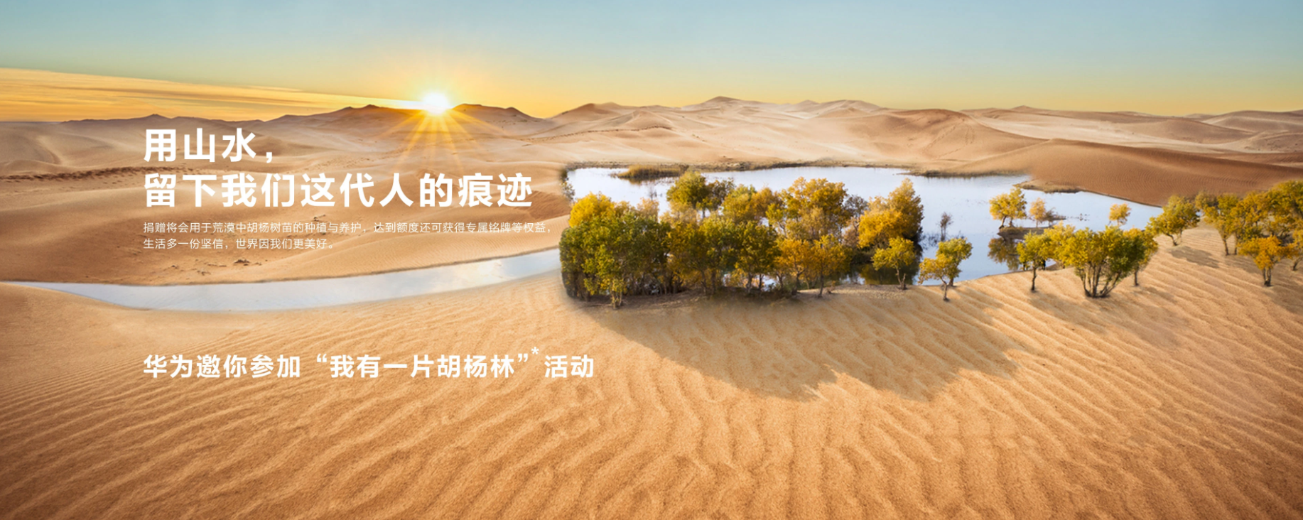 华为邀你共建胡杨林-广告人干货库