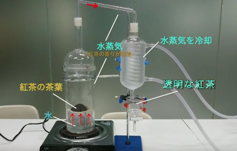 广告人干货库 谁是下一个元气森林、水中茅台?-广告人干货库