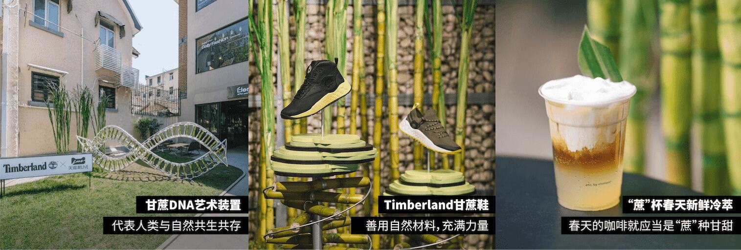 Timberland 用甘蔗开了一家潮店-广告人干货库