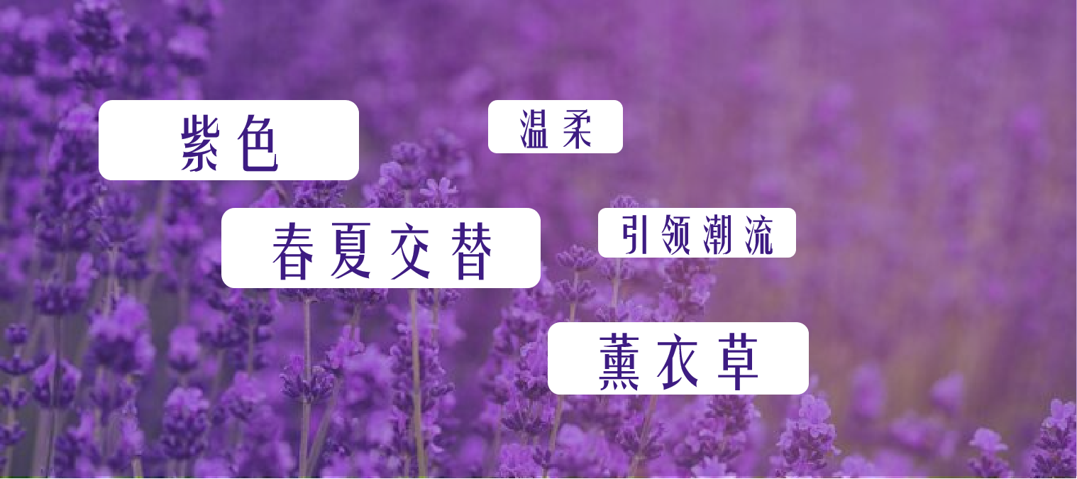 广告人干货库 紫色iPhone12爱了!那些藏在色彩学里的营销暗示-广告人干货库