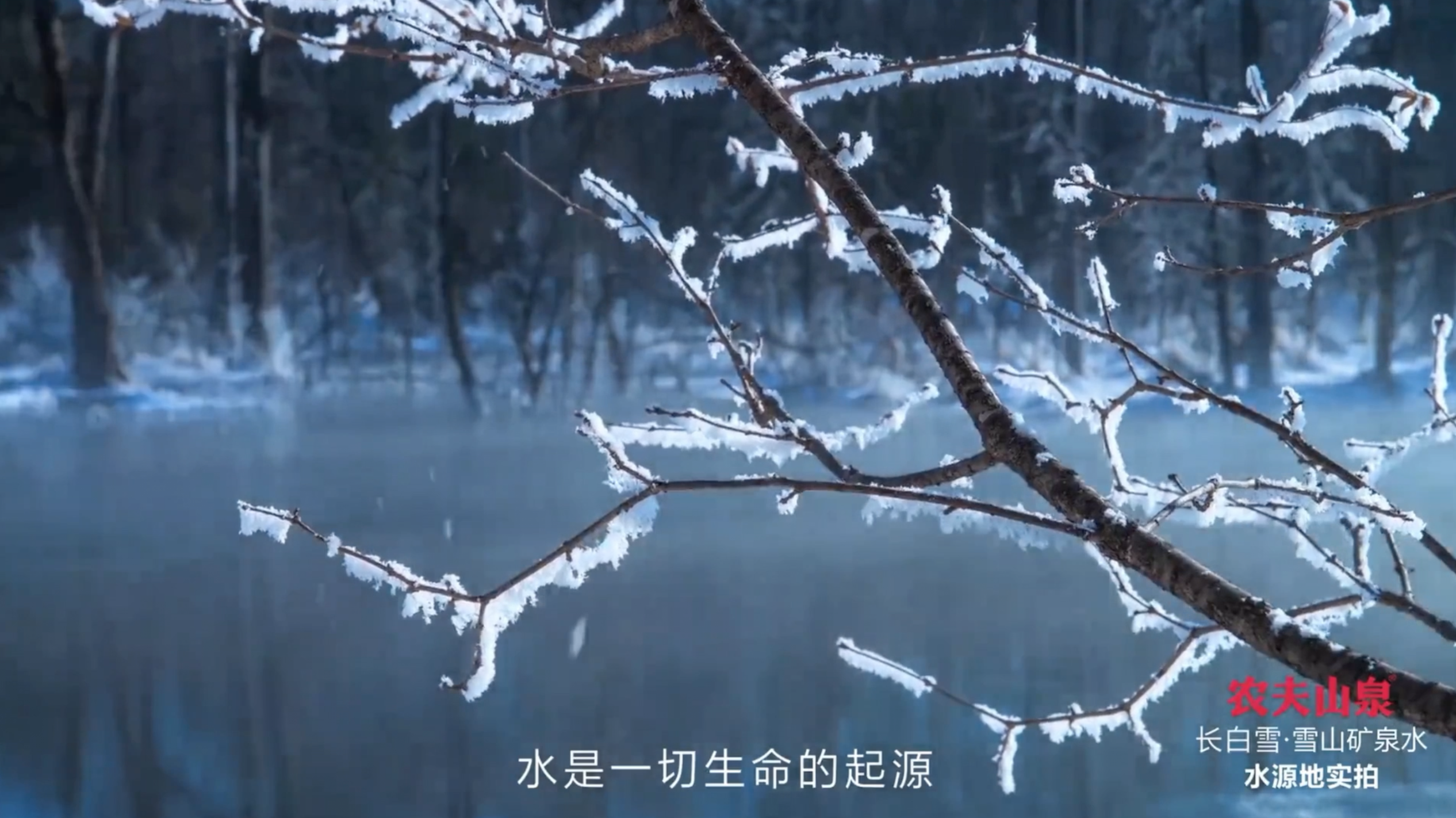 农夫山泉「长白雪」邀你品尝长白山雪花的味道-广告人干货库