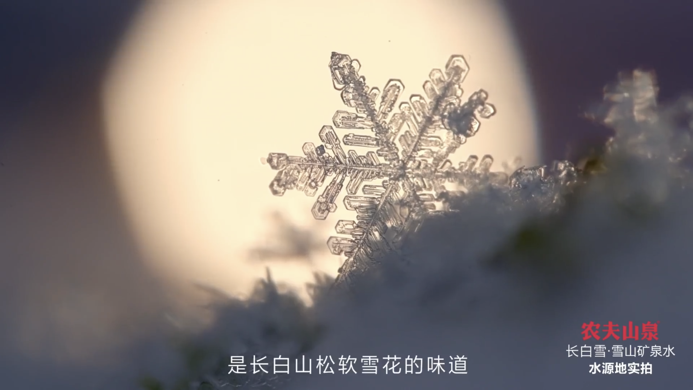 广告人干货库 农夫山泉「长白雪」邀你品尝长白山雪花的味道-广告人干货库