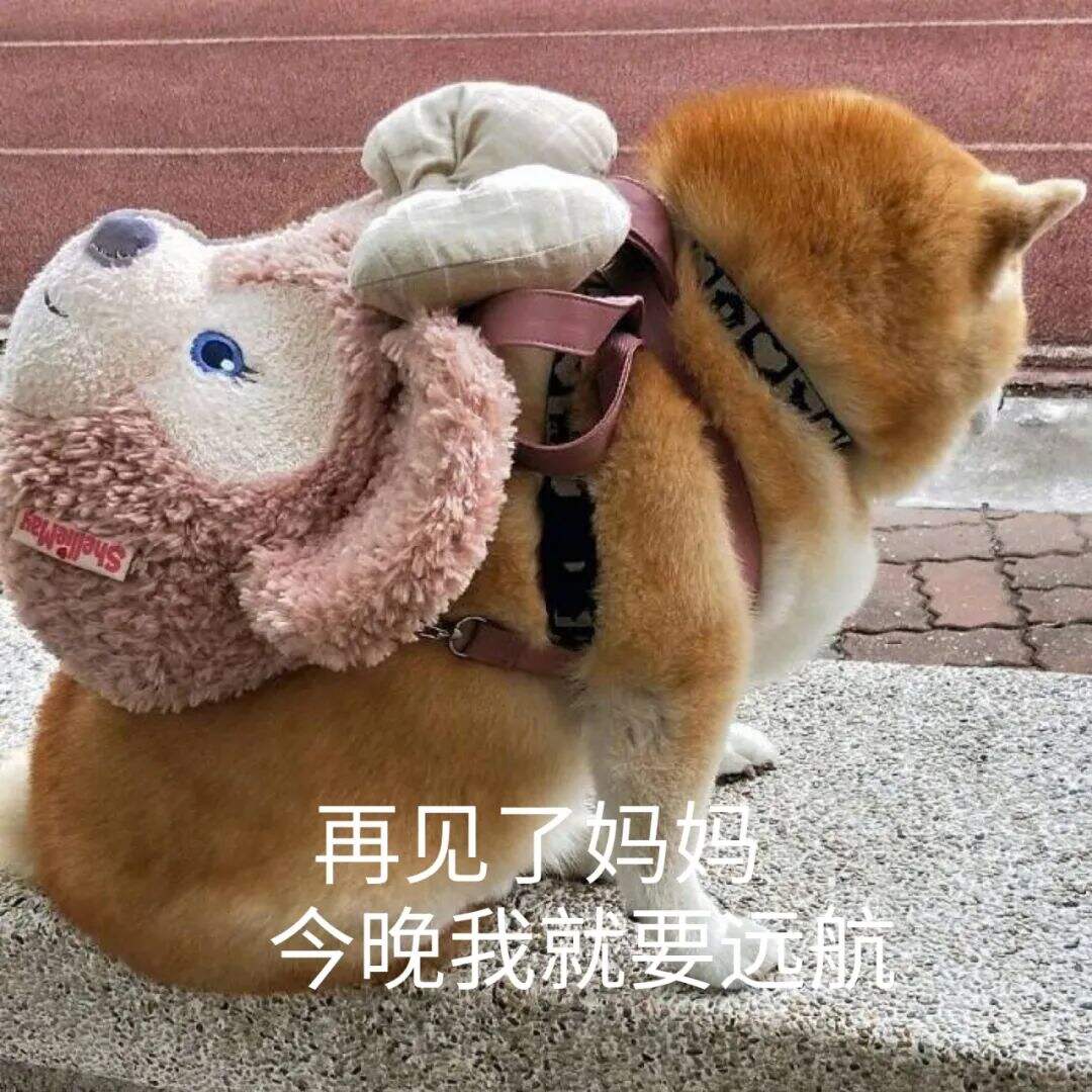 广告人干货库 “什么是快乐星球”究竟怎么火起来的?揭秘爆款背后的走红逻辑-广告人干货库