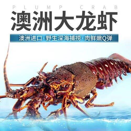 广告人干货库 一个品牌到底是聚焦单品好还是多个产品好?-广告人干货库