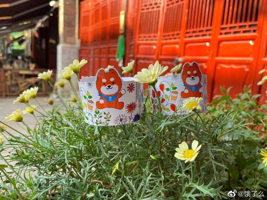 饿了么 × 《秘密花园》带来能涂鸦的杯套-广告人干货库