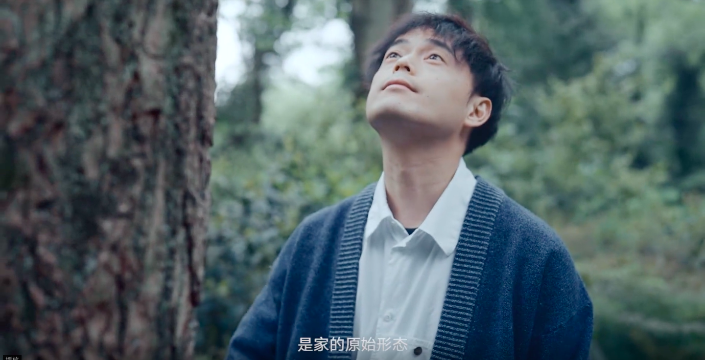Allbirds 邀请麦子、青山周平探讨「树」式生活-广告人干货库