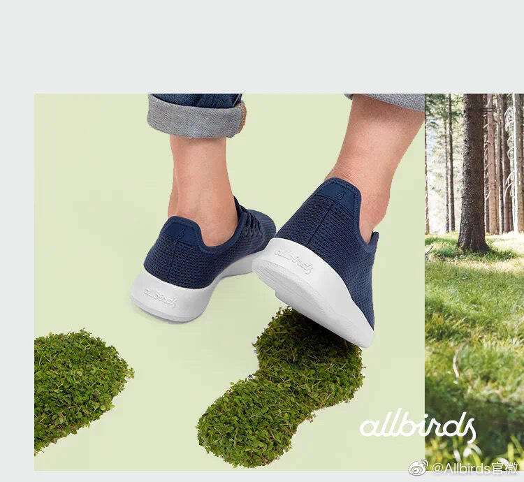 Allbirds 邀请麦子、青山周平探讨「树」式生活-广告人干货库