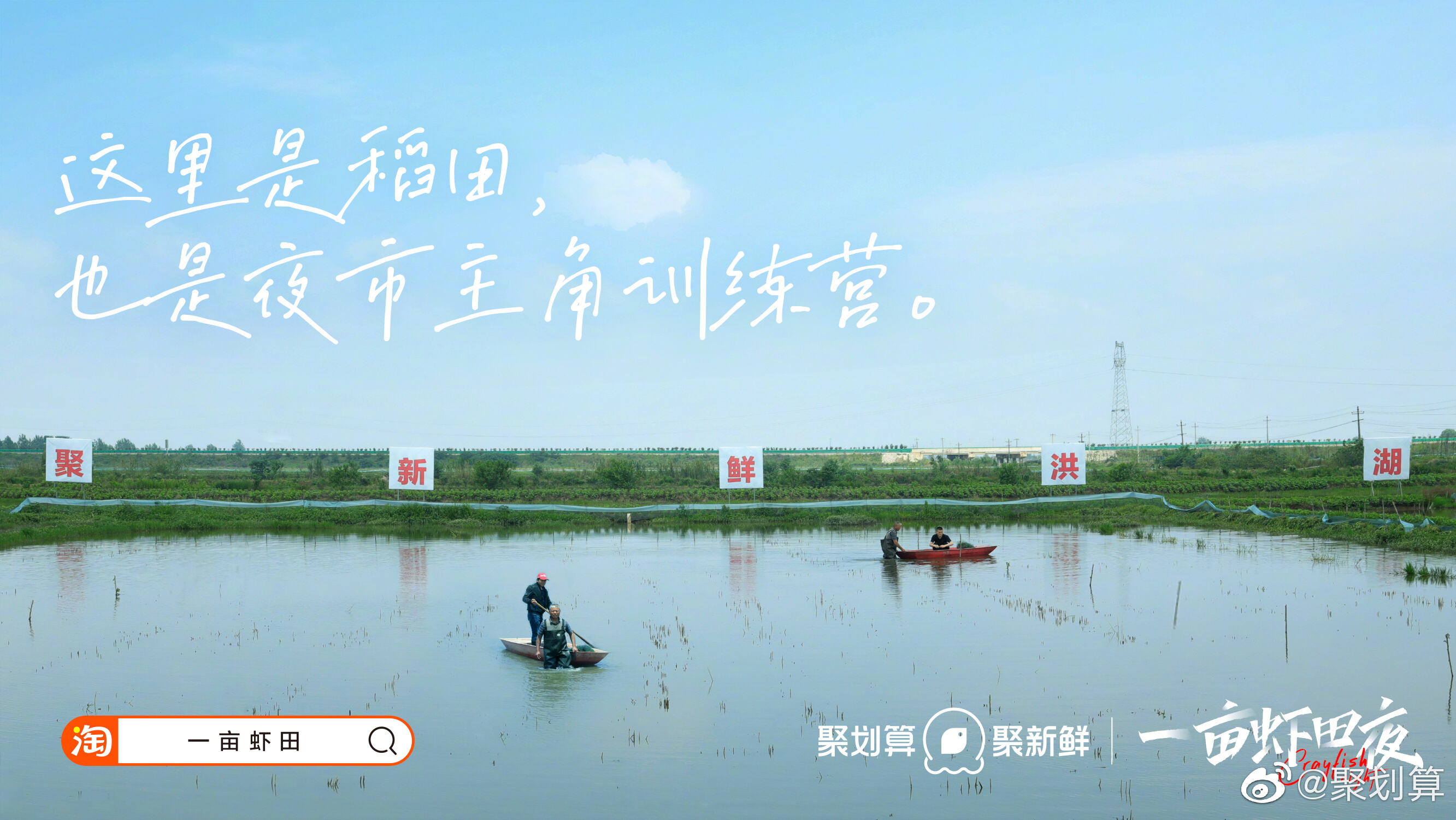 聚划算送你「一亩虾田」-广告人干货库