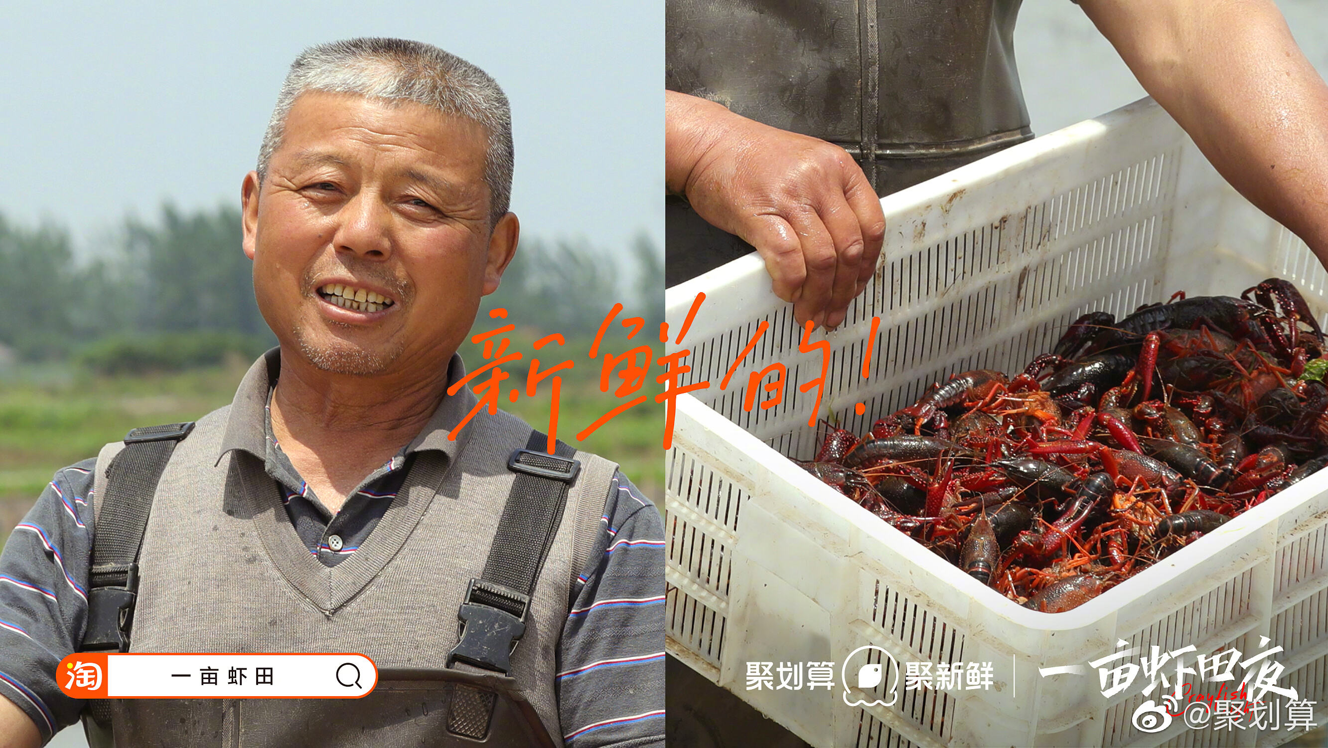 聚划算送你「一亩虾田」-广告人干货库