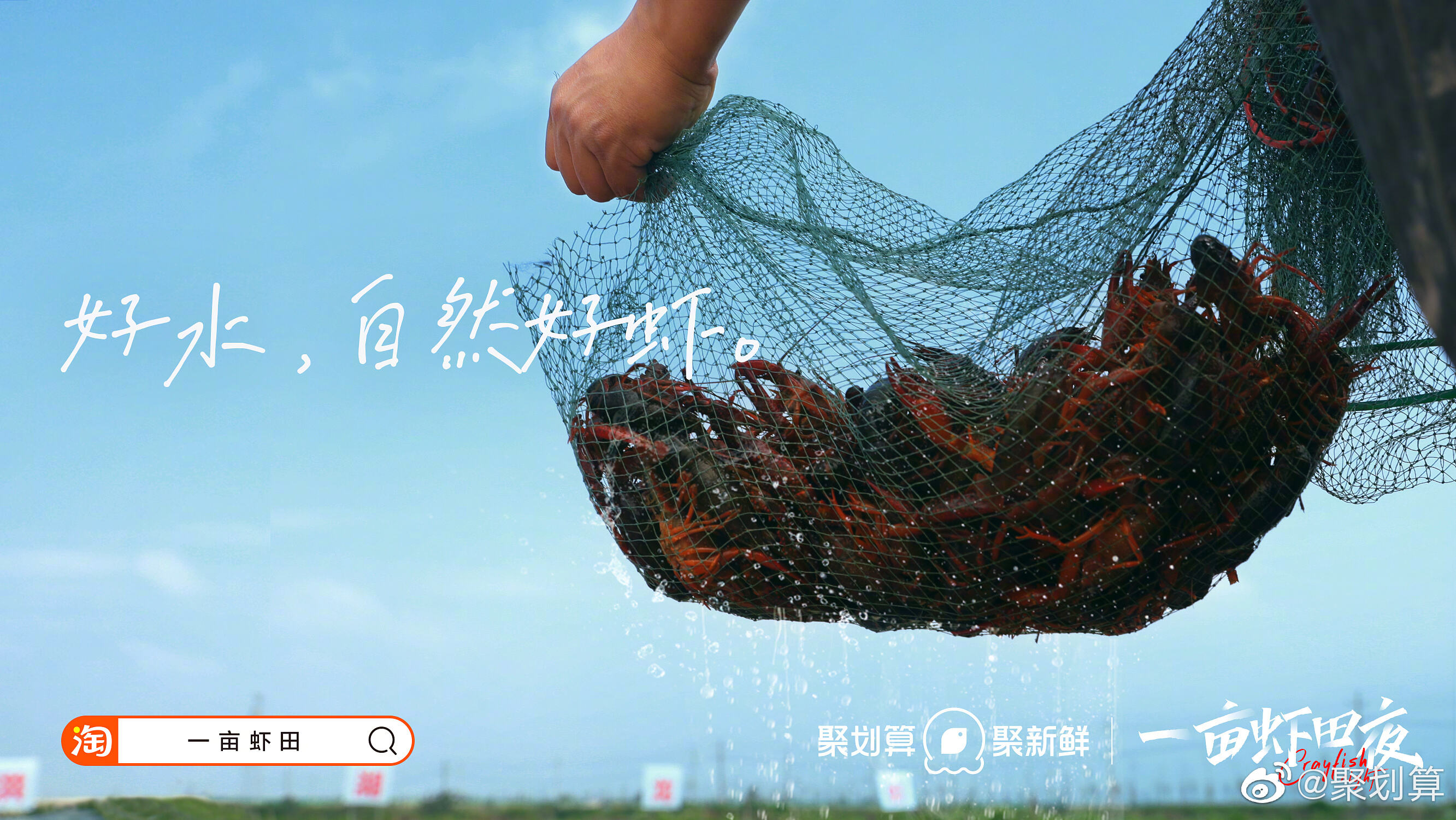 聚划算送你「一亩虾田」-广告人干货库