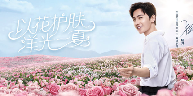 杨洋种了半亩花田-广告人干货库