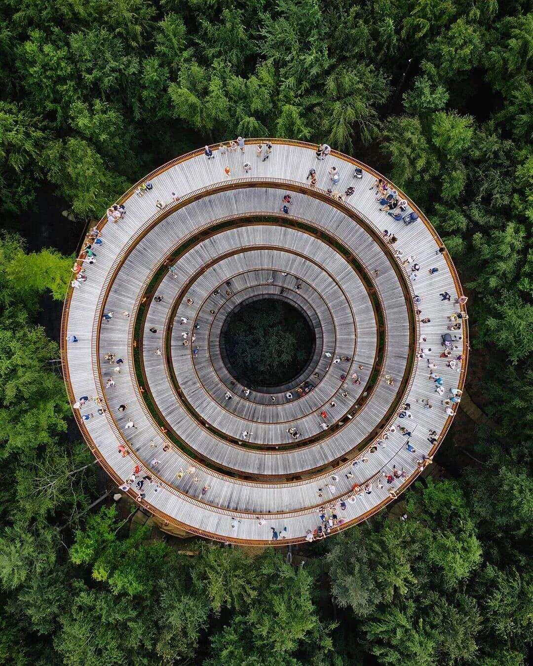广告人干货库 54张全球最美楼梯照,从旋转楼梯里感受建筑美学-广告人干货库
