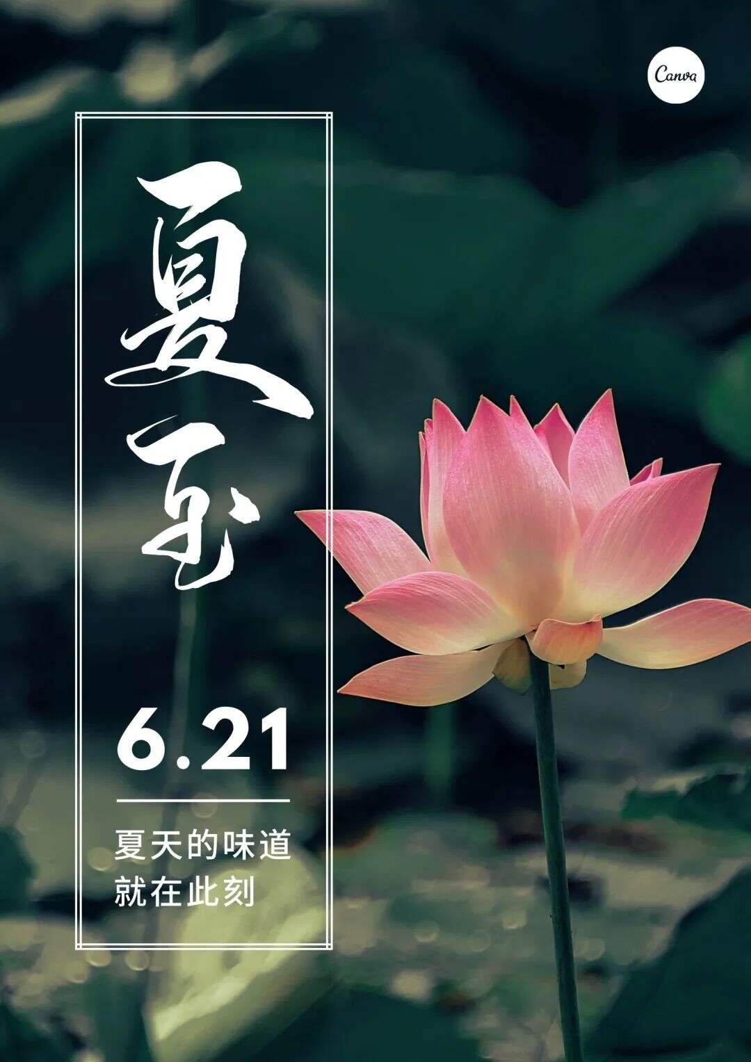 广告人干货库 6月营销热点日历丨儿童节、高考、父亲节、端午节、夏至-广告人干货库