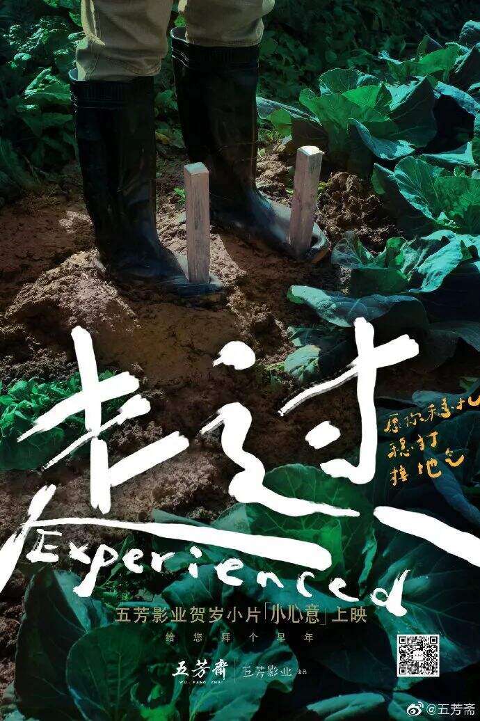 广告人干货库 五芳斋品牌内容营销史,看看它究竟是怎么火的?-广告人干货库