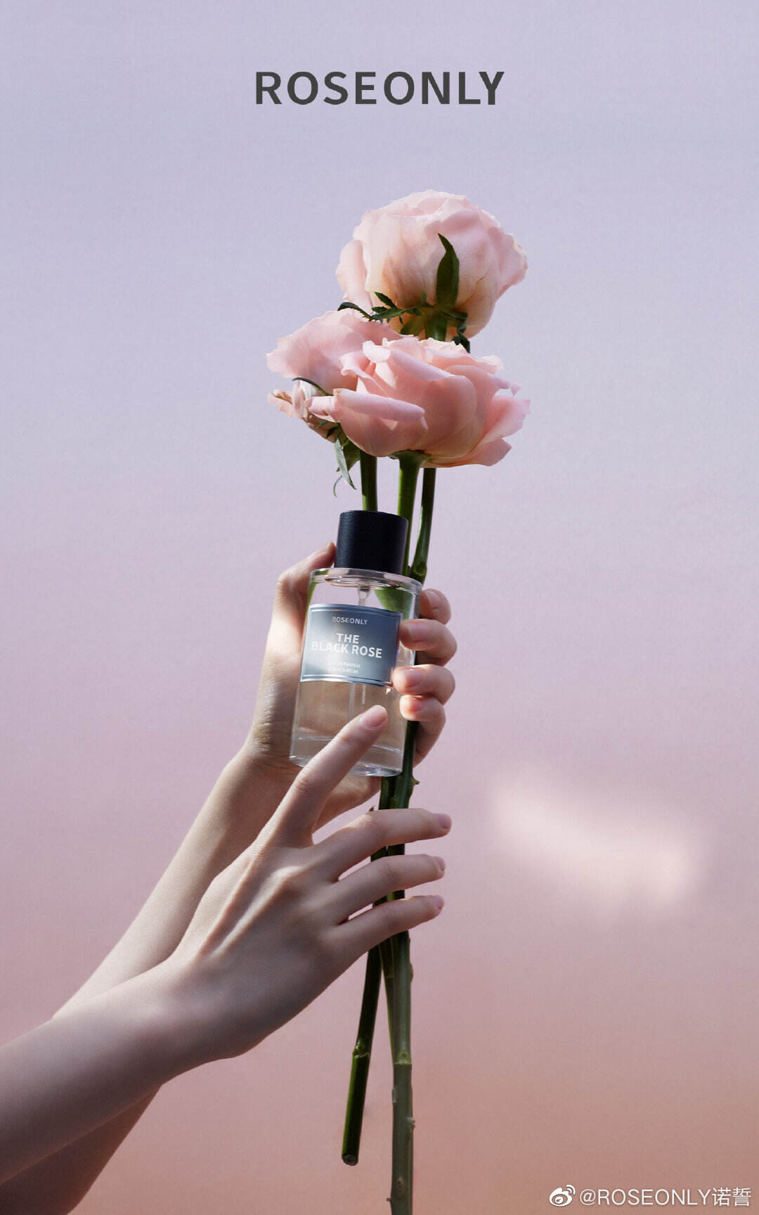 ROSEONLY 首款玫瑰沙龙香营造「爱情」味道-广告人干货库