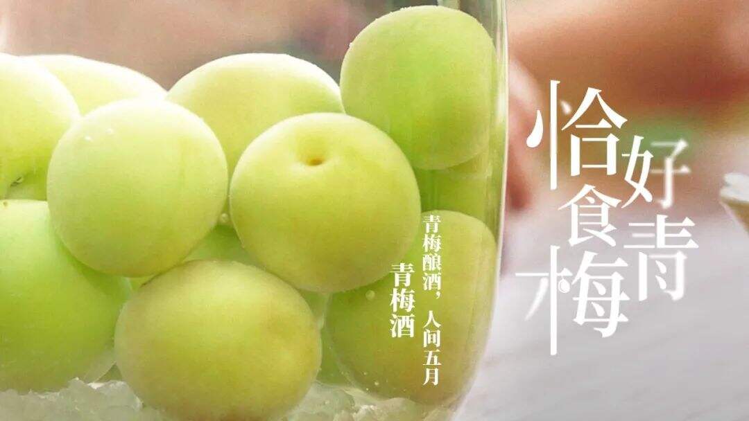 竹内亮导演热推溜溜梅-广告人干货库