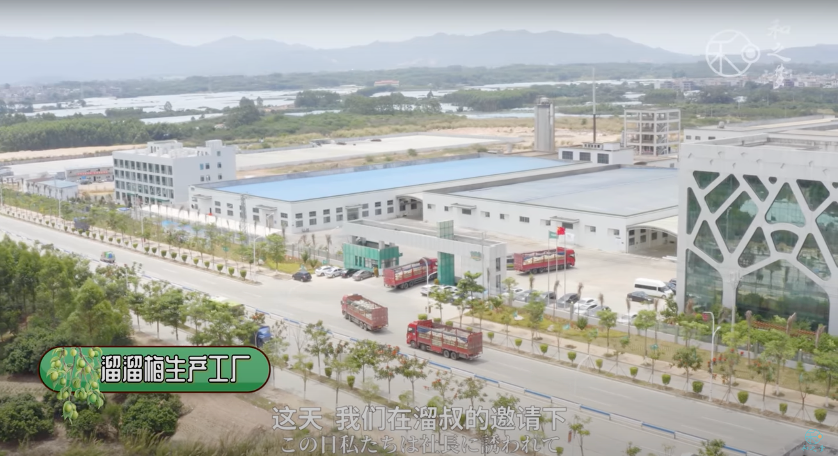 竹内亮导演热推溜溜梅-广告人干货库