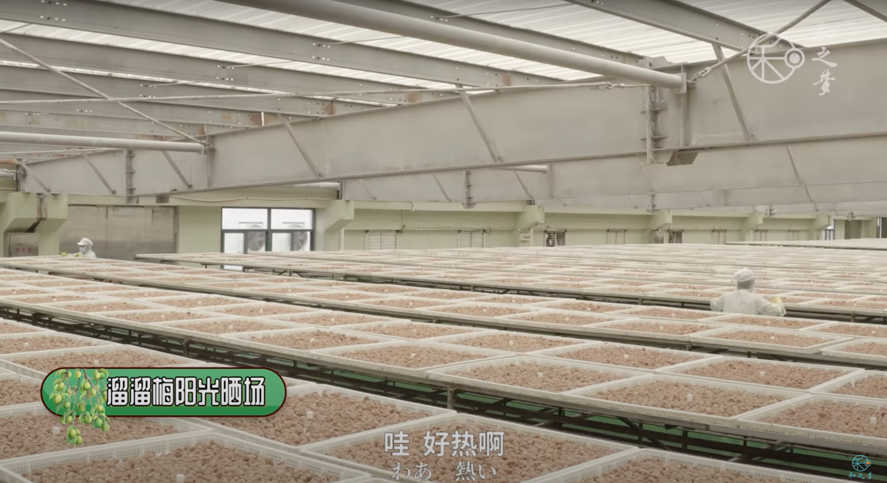竹内亮导演热推溜溜梅-广告人干货库