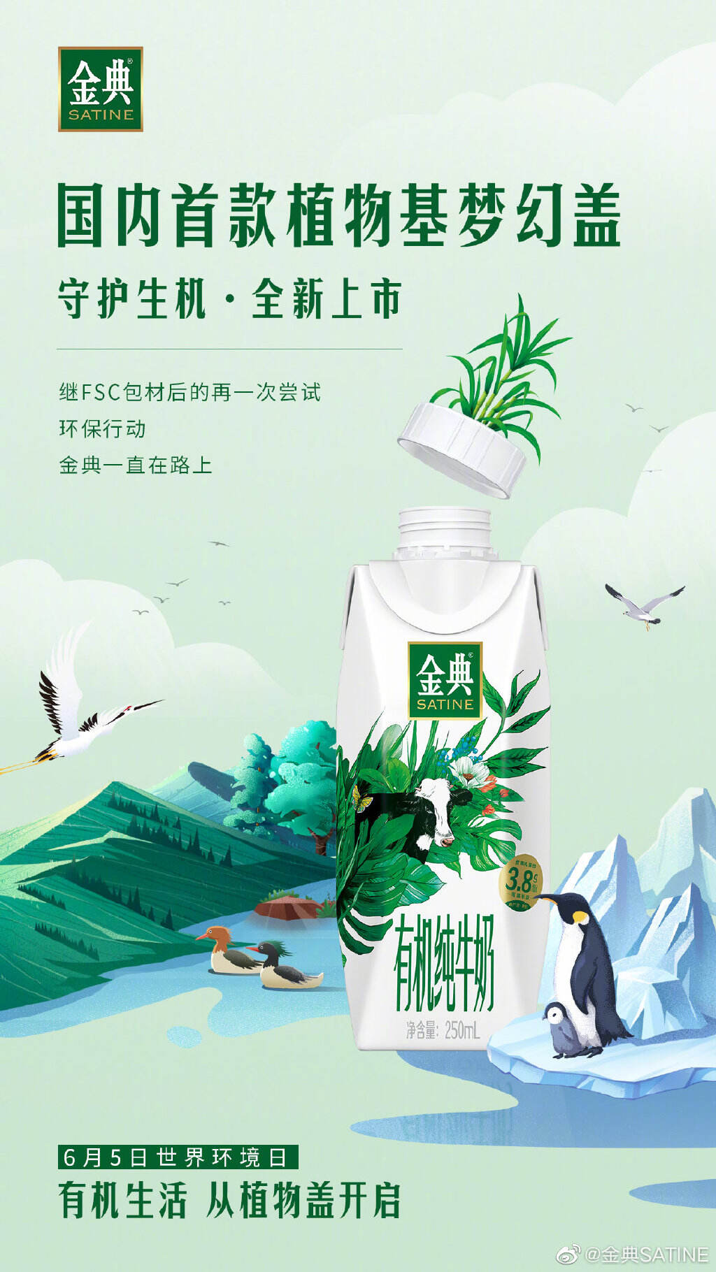 金典上市国内首款环保植物盖-广告人干货库