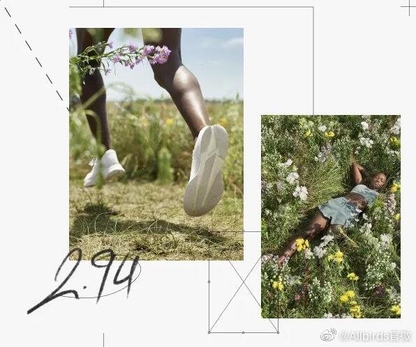 广告人干货库 Allbirds 与竞争对手出联名跑鞋-广告人干货库